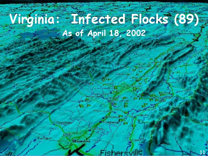 Virginia: Infected Flocks (89) As of April 18, 2002 11 