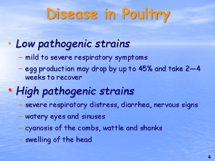 Disease in Poultry • Low pathogenic strains – mild to severe respiratory symptoms –