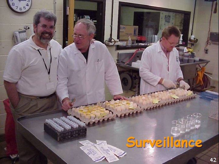 Surveillance 42 