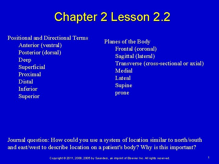 Chapter 2 Lesson 2. 2 Positional and Directional Terms Anterior (ventral) Posterior (dorsal) Deep