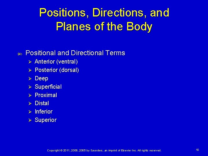 Positions, Directions, and Planes of the Body Positional and Directional Terms Ø Ø Ø