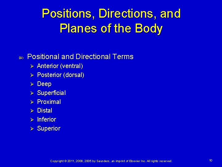 Positions, Directions, and Planes of the Body Positional and Directional Terms Ø Ø Ø