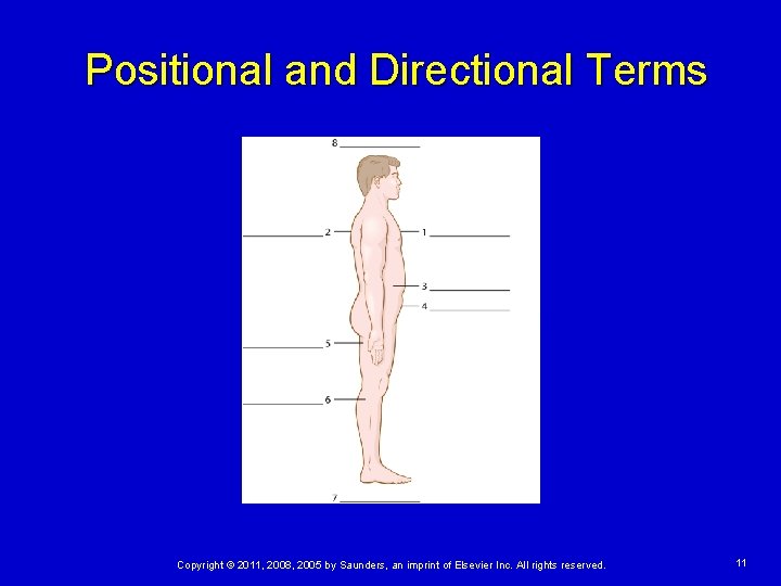 Positional and Directional Terms Copyright © 2011, 2008, 2005 by Saunders, an imprint of