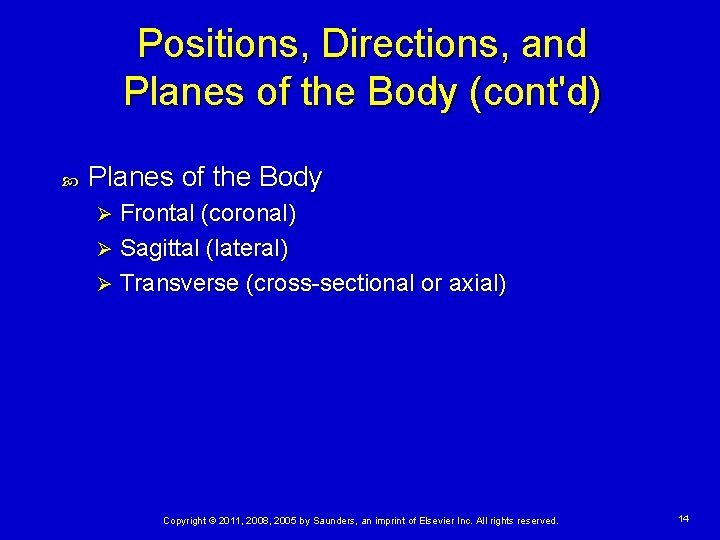 Positions, Directions, and Planes of the Body (cont'd) Planes of the Body Frontal (coronal)