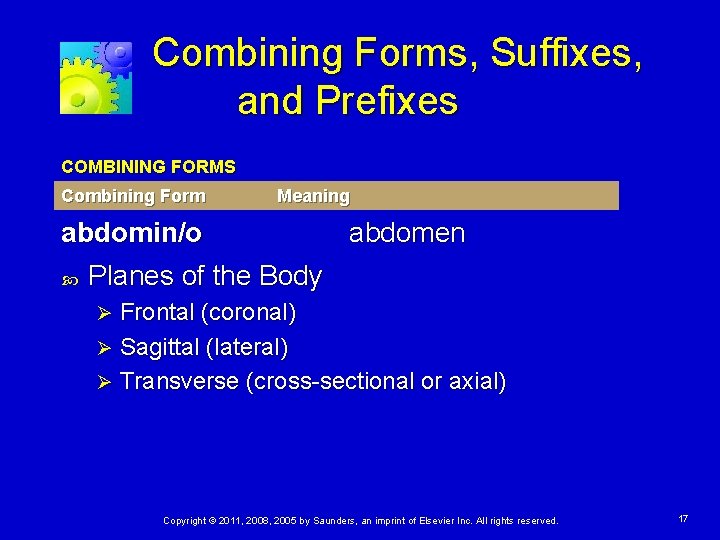 Combining Forms, Suffixes, and Prefixes COMBINING FORMS Combining Form Meaning abdomin/o abdomen Planes of