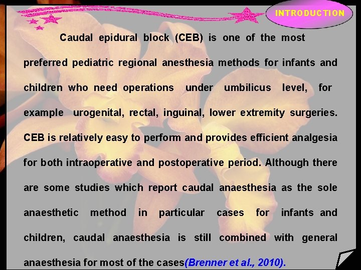 INTRODUCTION Caudal epidural block (CEB) is one of the most preferred pediatric regional anesthesia