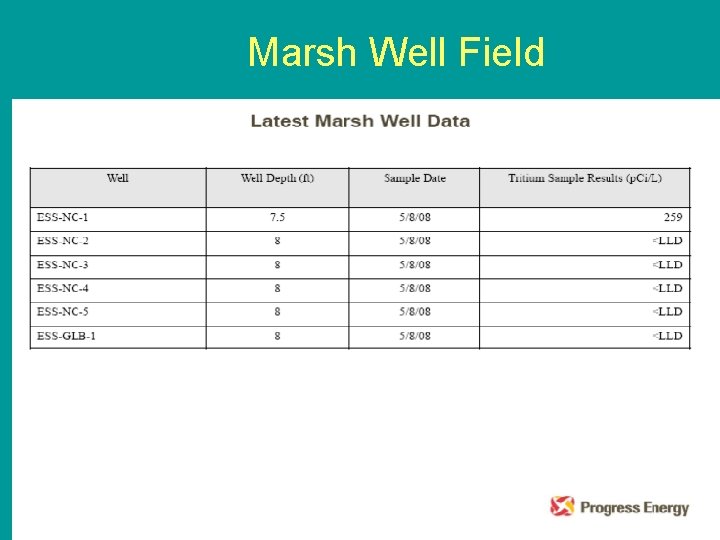 Marsh Well Field 