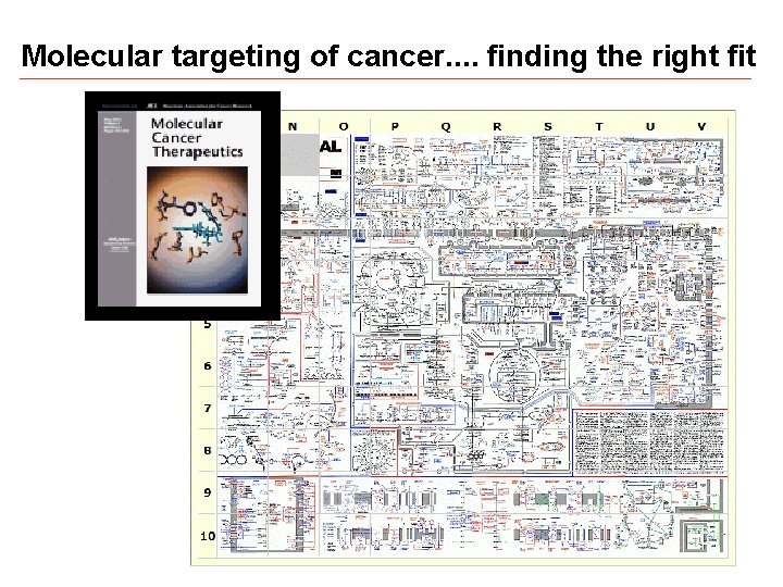 Molecular targeting of cancer. . finding the right fit 