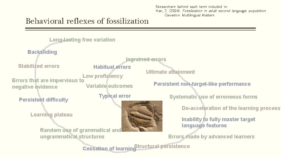 Behavioral reflexes of fossilization Researchers behind each term included in: Han, Z. (2004). Fossilization Behavioral reflexes of fossilization Researchers behind each term included in: Han, Z. (2004). Fossilization