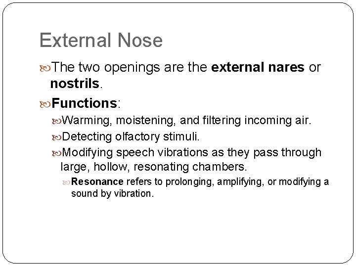 External Nose The two openings are the external nares or nostrils. Functions: Warming, moistening,