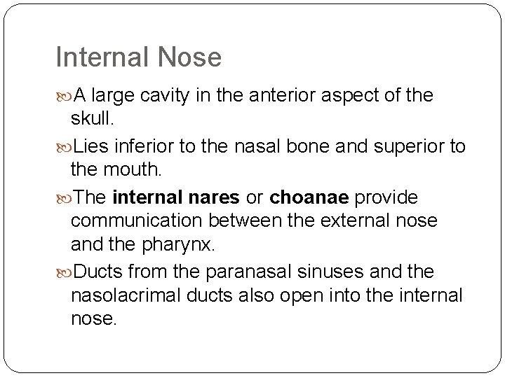 Internal Nose A large cavity in the anterior aspect of the skull. Lies inferior