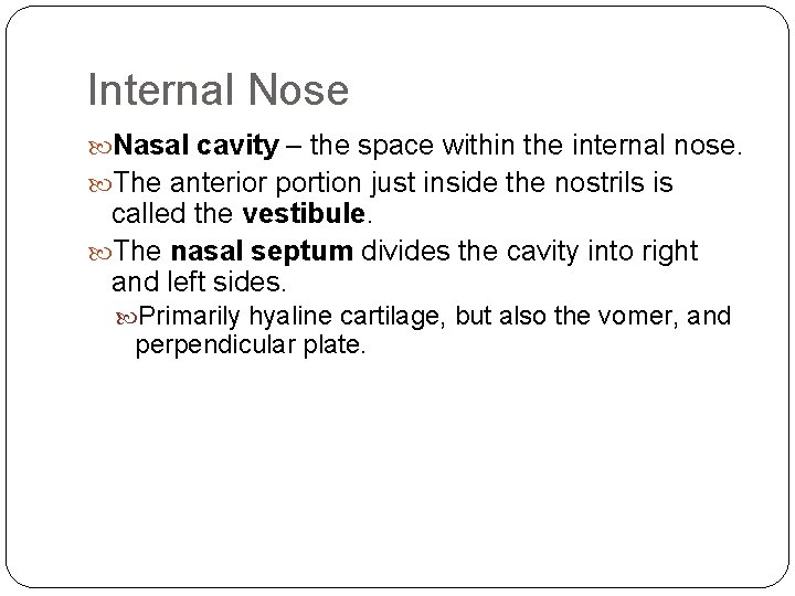 Internal Nose Nasal cavity – the space within the internal nose. The anterior portion