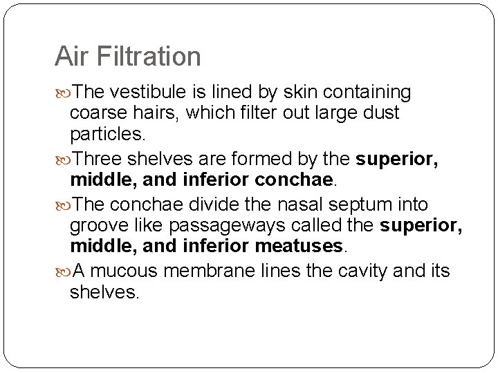 Air Filtration The vestibule is lined by skin containing coarse hairs, which filter out