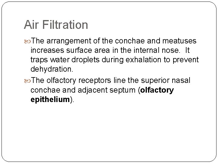 Air Filtration The arrangement of the conchae and meatuses increases surface area in the