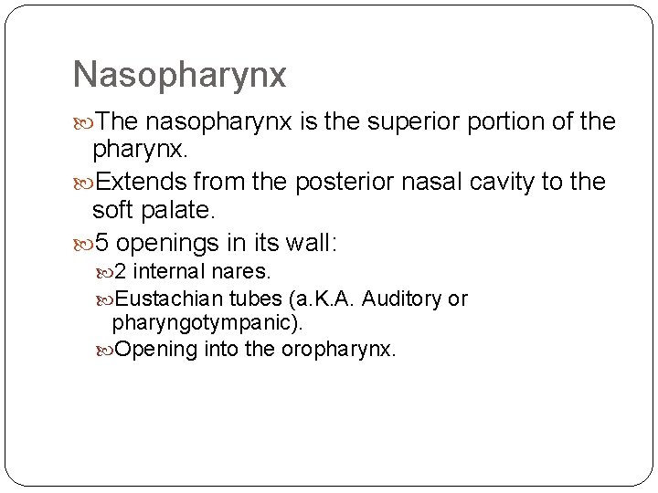 Nasopharynx The nasopharynx is the superior portion of the pharynx. Extends from the posterior