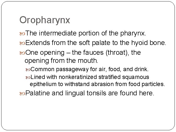 Oropharynx The intermediate portion of the pharynx. Extends from the soft palate to the