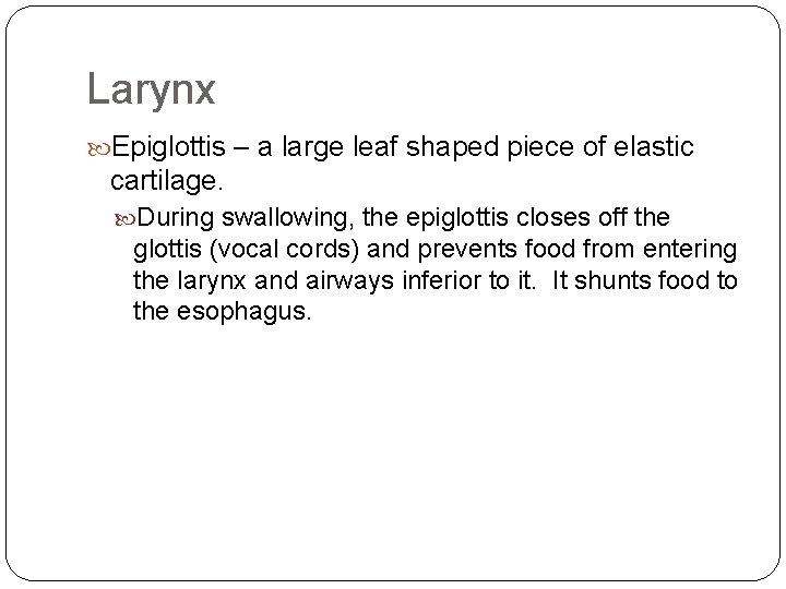 Larynx Epiglottis – a large leaf shaped piece of elastic cartilage. During swallowing, the