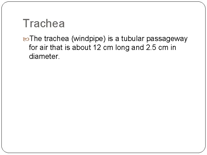 Trachea The trachea (windpipe) is a tubular passageway for air that is about 12