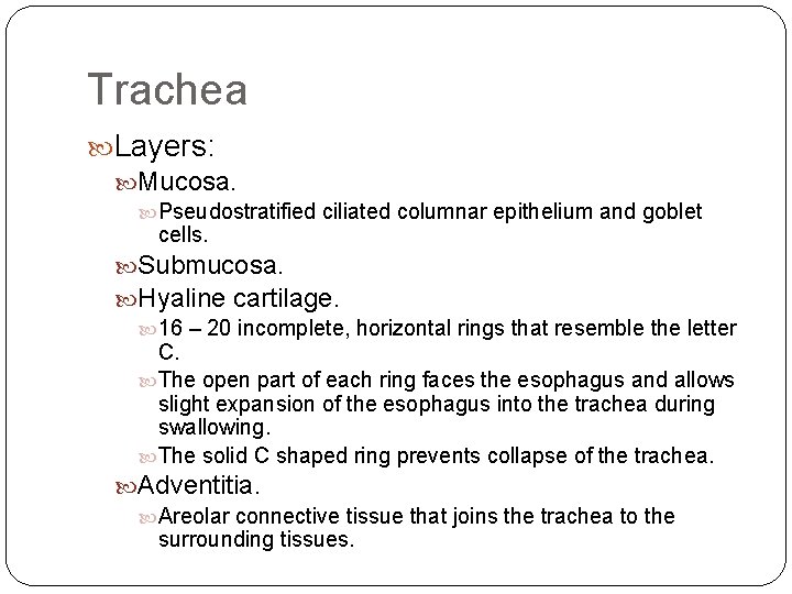Trachea Layers: Mucosa. Pseudostratified ciliated columnar epithelium and goblet cells. Submucosa. Hyaline cartilage. 16