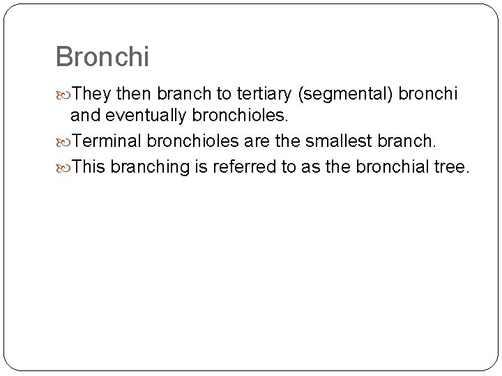 Bronchi They then branch to tertiary (segmental) bronchi and eventually bronchioles. Terminal bronchioles are