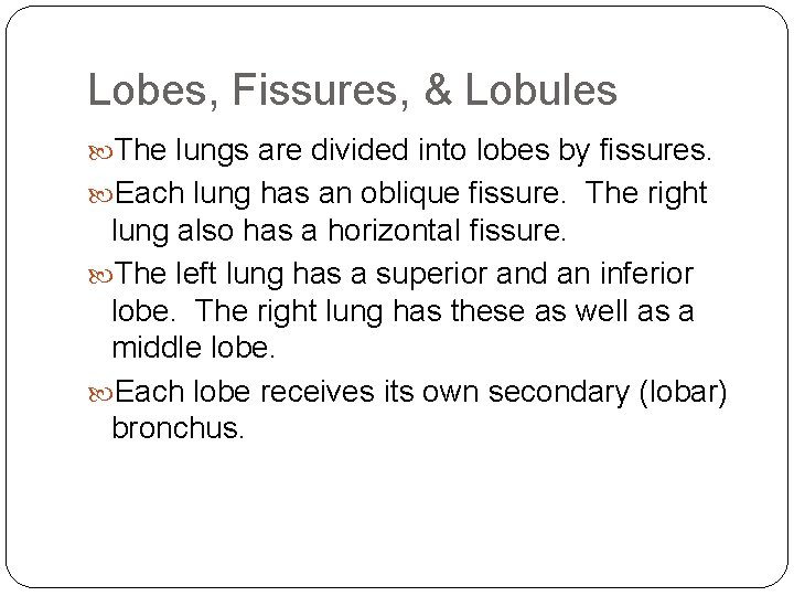 Lobes, Fissures, & Lobules The lungs are divided into lobes by fissures. Each lung