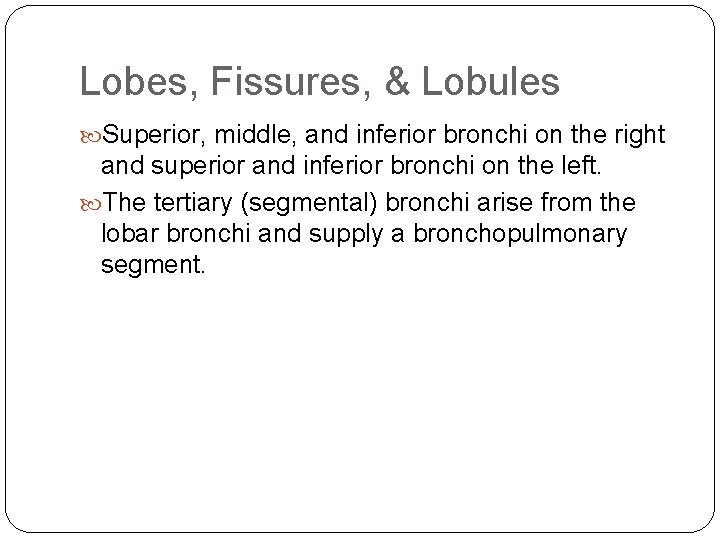 Lobes, Fissures, & Lobules Superior, middle, and inferior bronchi on the right and superior