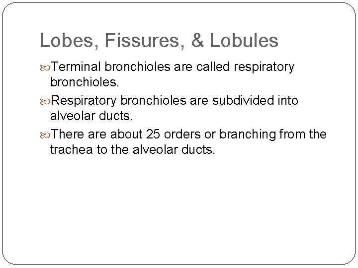 Lobes, Fissures, & Lobules Terminal bronchioles are called respiratory bronchioles. Respiratory bronchioles are subdivided