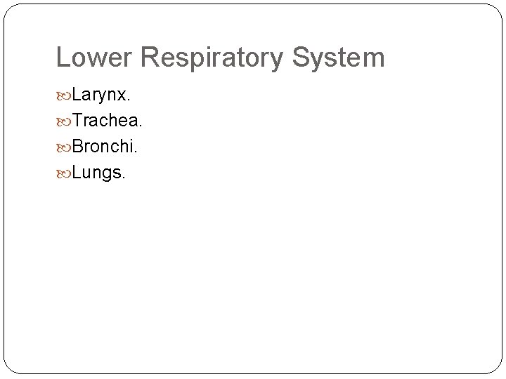 Lower Respiratory System Larynx. Trachea. Bronchi. Lungs. 