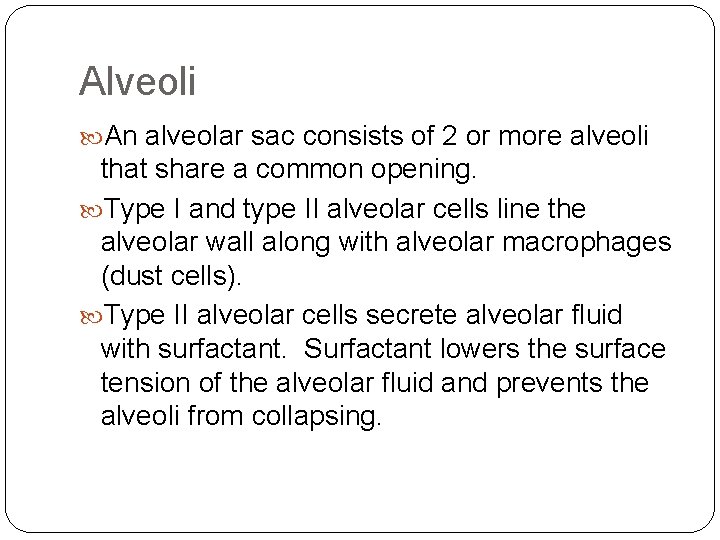 Alveoli An alveolar sac consists of 2 or more alveoli that share a common