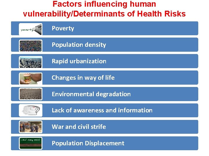 Physical Human Risk Health Emergency Risk Management Pir Mohammad Paya MD