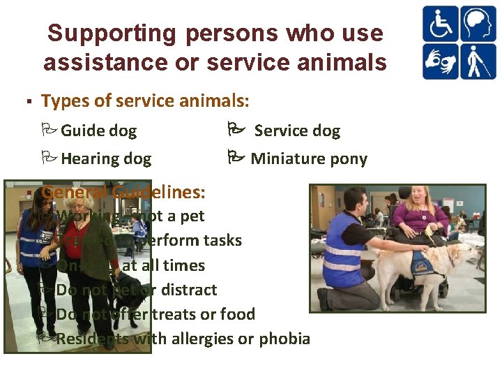 Supporting persons who use assistance or service animals Types of service animals: Guide dog
