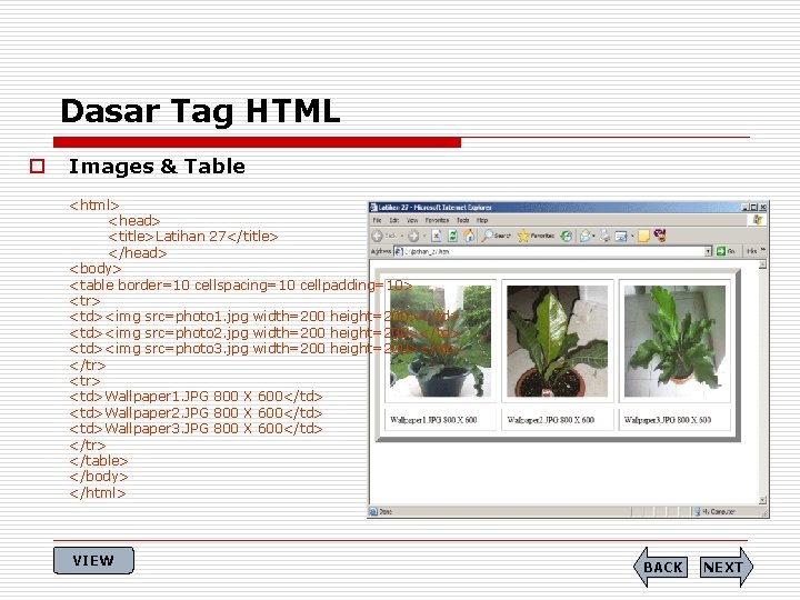Dasar Tag HTML o Images & Table <html> <head> <title>Latihan 27</title> </head> <body> <table