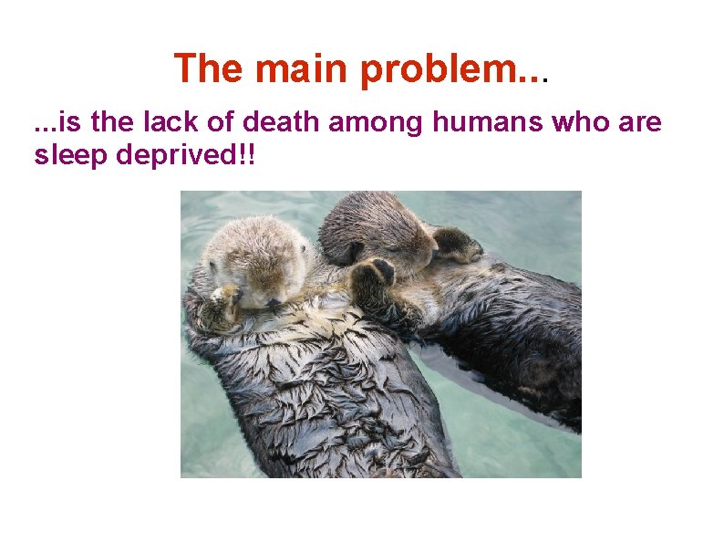 The main problem. . . is the lack of death among humans who are