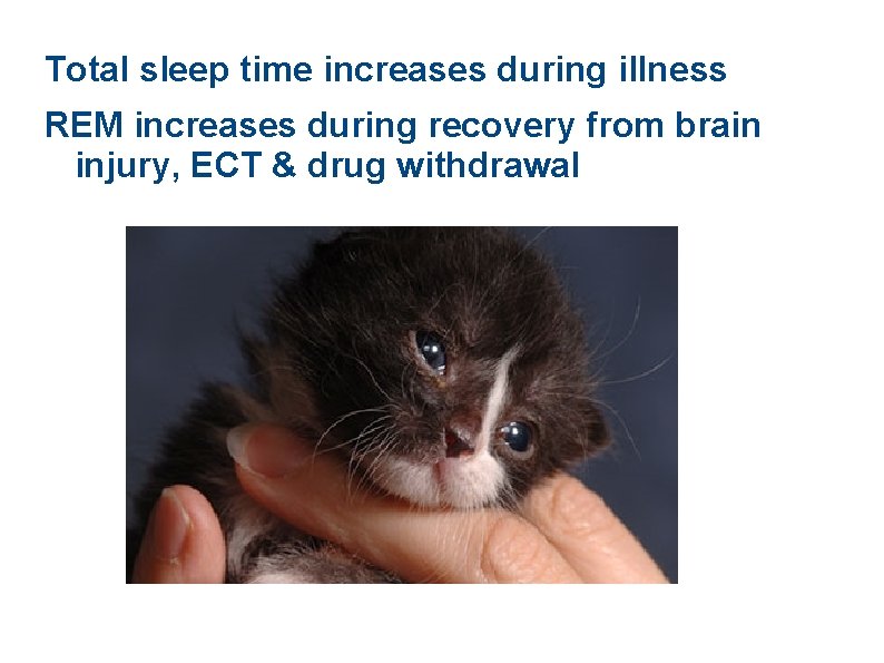 Total sleep time increases during illness REM increases during recovery from brain injury, ECT