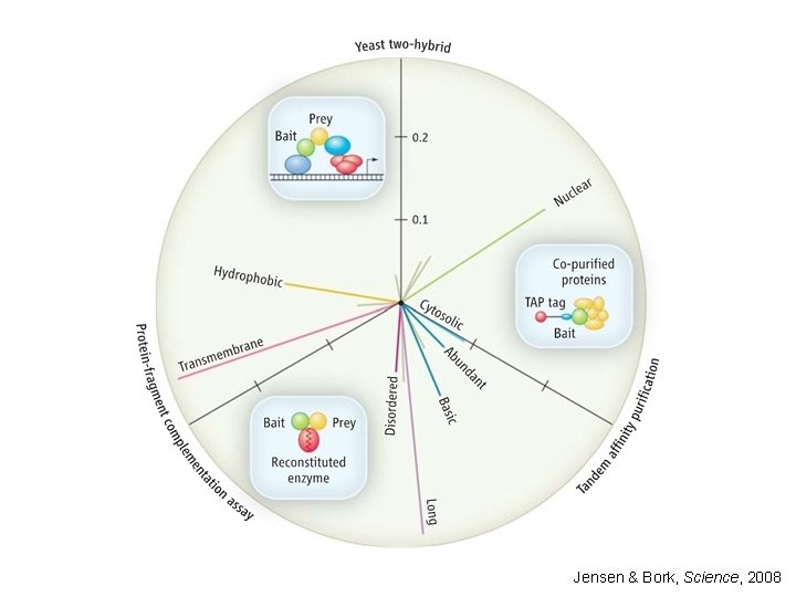 Jensen & Bork, Science, 2008 