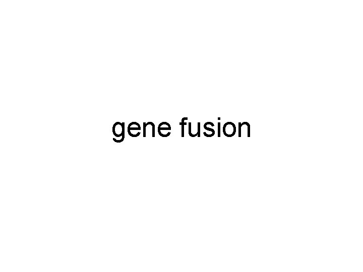 gene fusion 