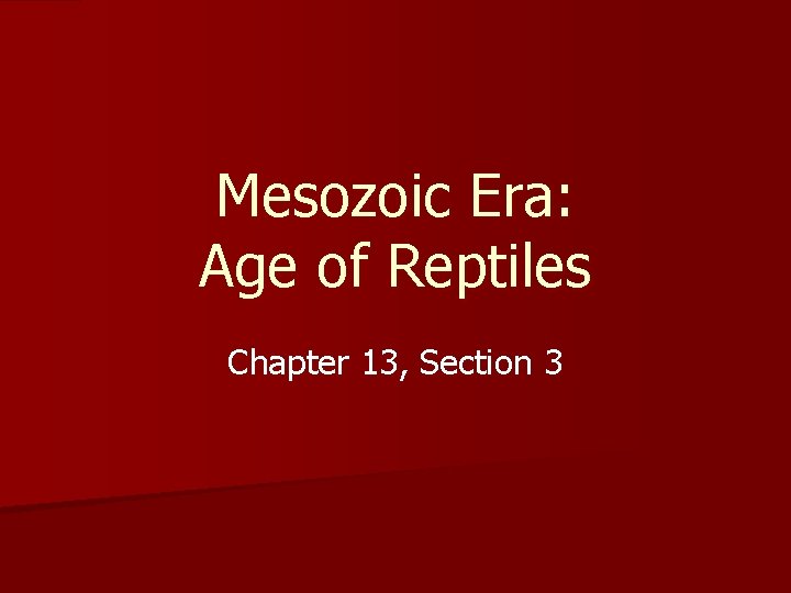 Mesozoic Era: Age of Reptiles Chapter 13, Section 3 