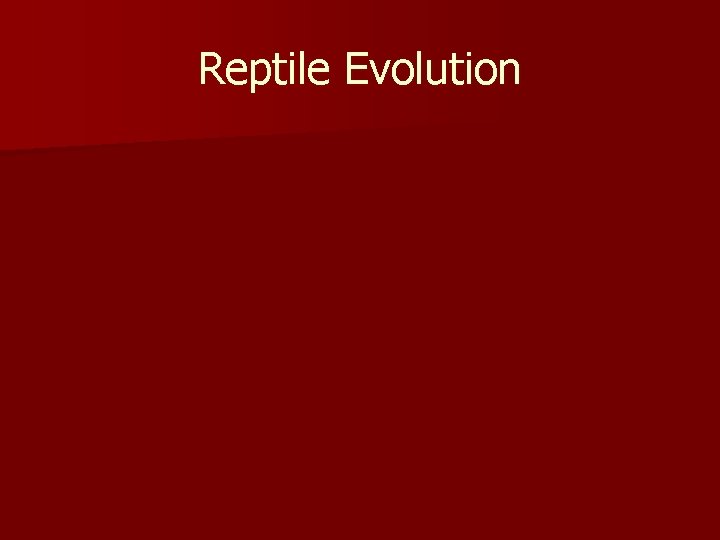 Reptile Evolution 