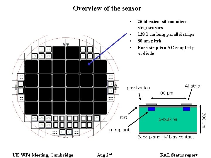 Overview of the sensor • • 26 identical silicon microstrip sensors 128 1 cm Overview of the sensor • • 26 identical silicon microstrip sensors 128 1 cm