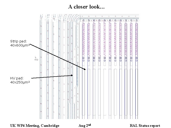 A closer look… Strip pad: 40 x 600μm 2 HV pad: 40 x 250μm A closer look… Strip pad: 40 x 600μm 2 HV pad: 40 x 250μm