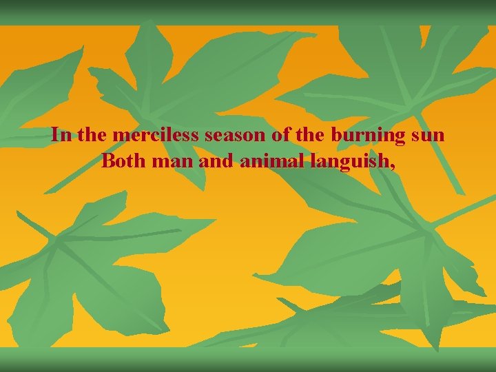 In the merciless season of the burning sun Both man and animal languish, 