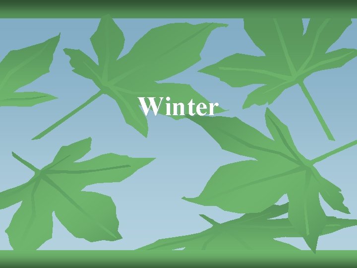Winter 