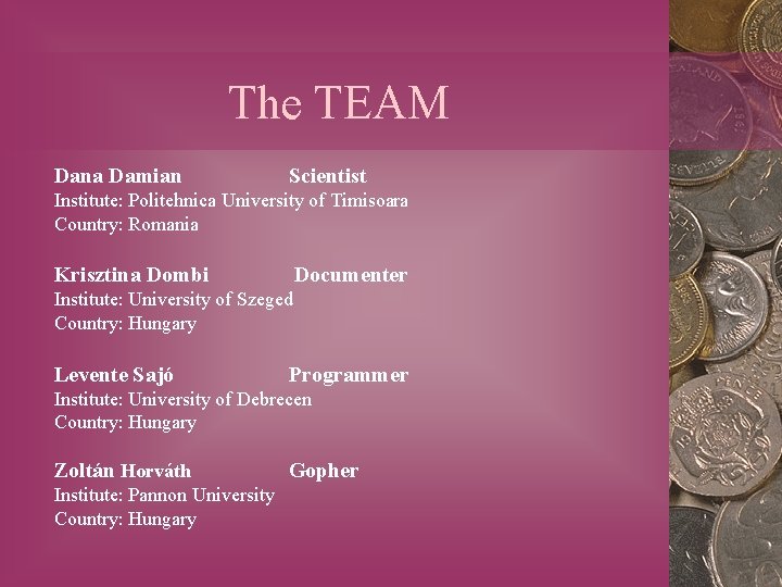 The TEAM Dana Damian Scientist Institute: Politehnica University of Timisoara Country: Romania Krisztina Dombi