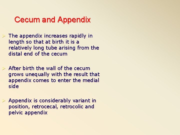 Cecum and Appendix Ø The appendix increases rapidly in length so that at birth