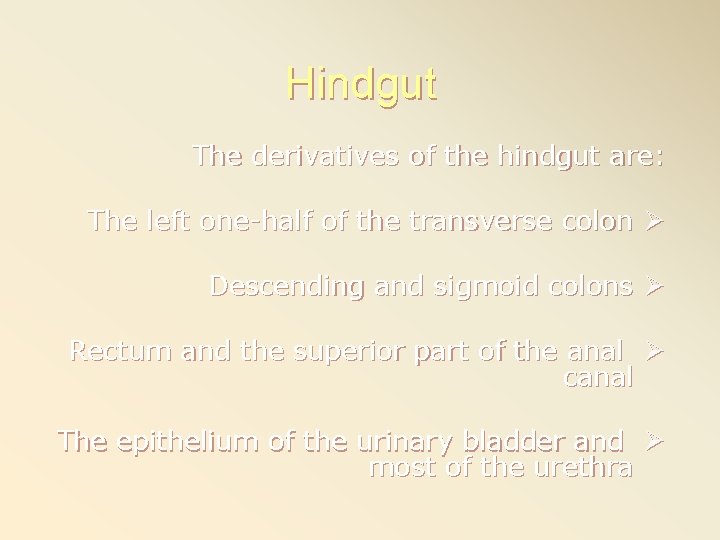 Hindgut The derivatives of the hindgut are: The left one-half of the transverse colon