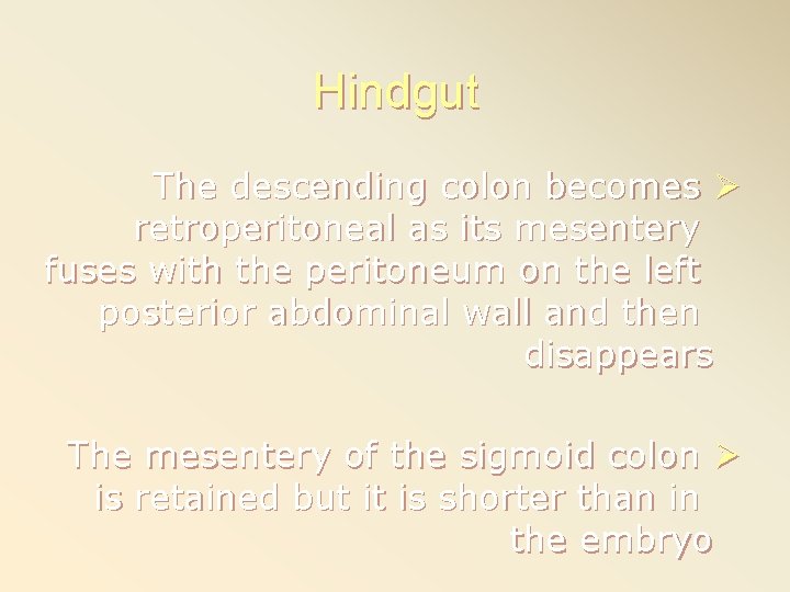 Hindgut The descending colon becomes Ø retroperitoneal as its mesentery fuses with the peritoneum