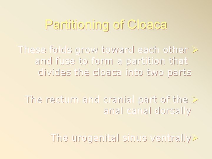 Partitioning of Cloaca These folds grow toward each other Ø and fuse to form