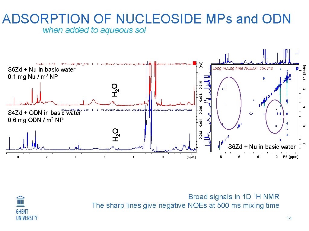 ADSORPTION OF NUCLEOSIDE MPs and ODN when added to aqueous sol H 2 O