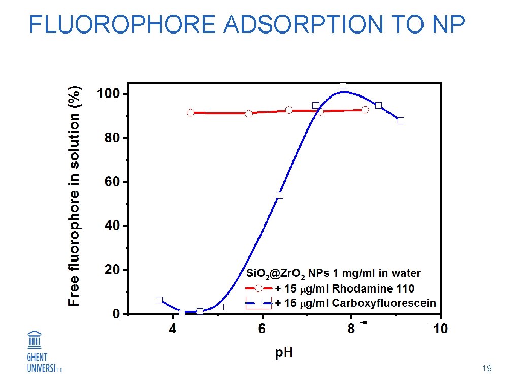 FLUOROPHORE ADSORPTION TO NP 19 