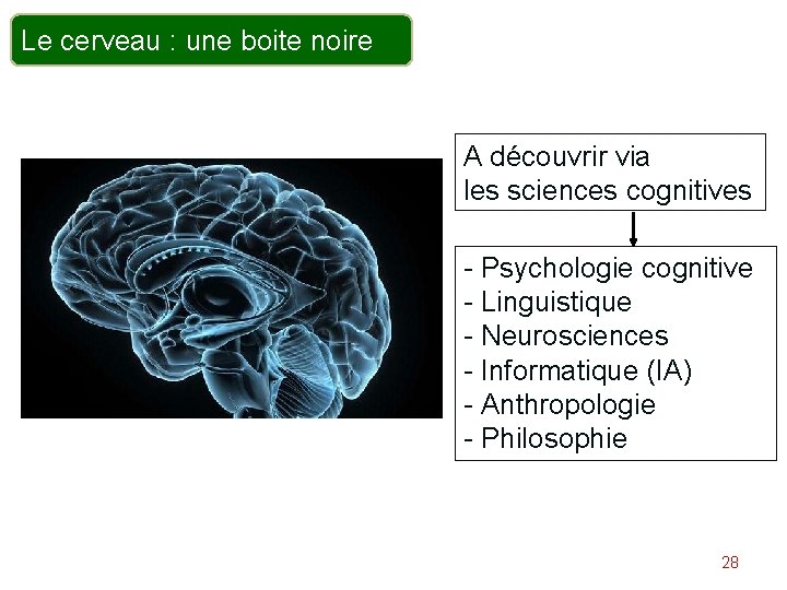 Le cerveau : une boite noire A découvrir via les sciences cognitives - Psychologie